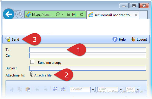 Screen shot of Secure Email Messaging.